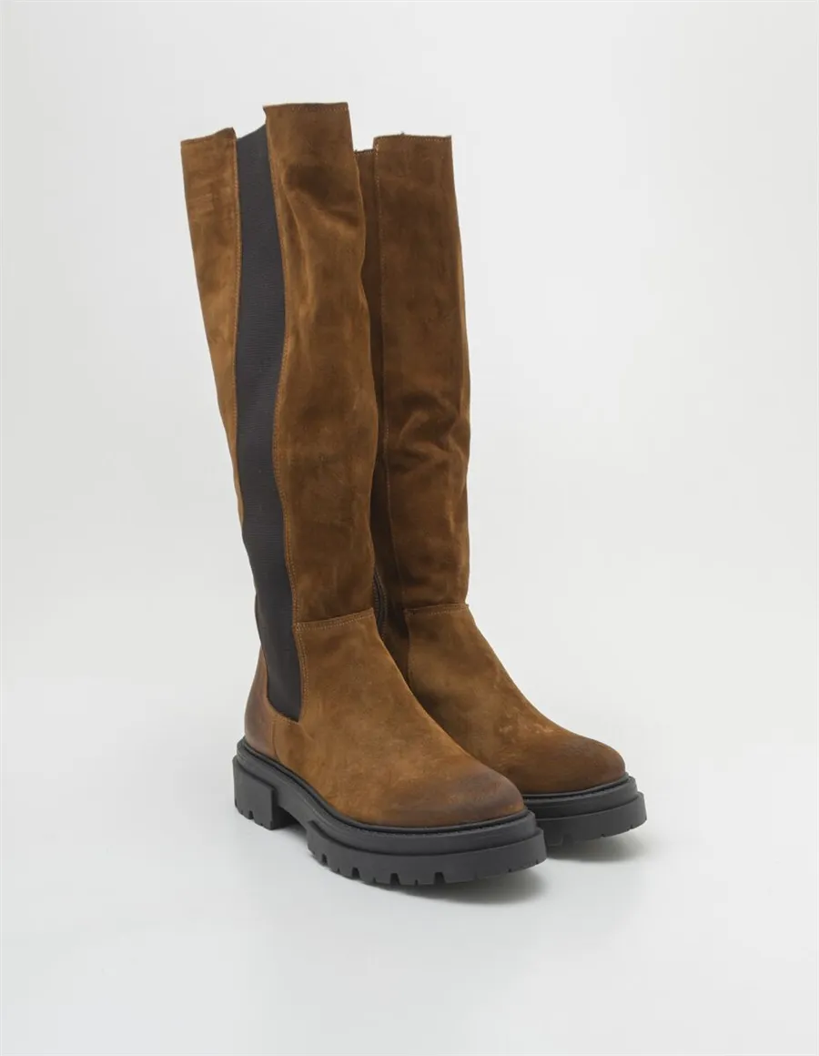 STIVALE 13404