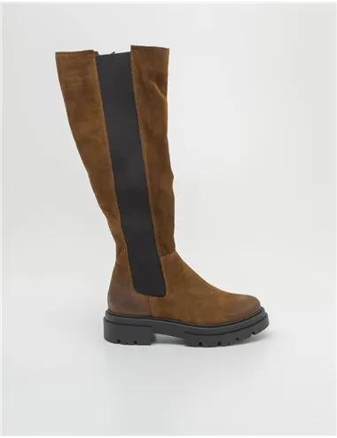 STIVALE  13404