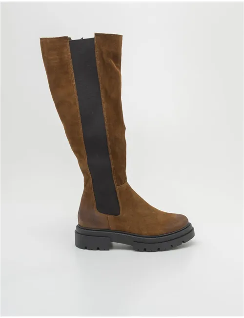 STIVALE  13404