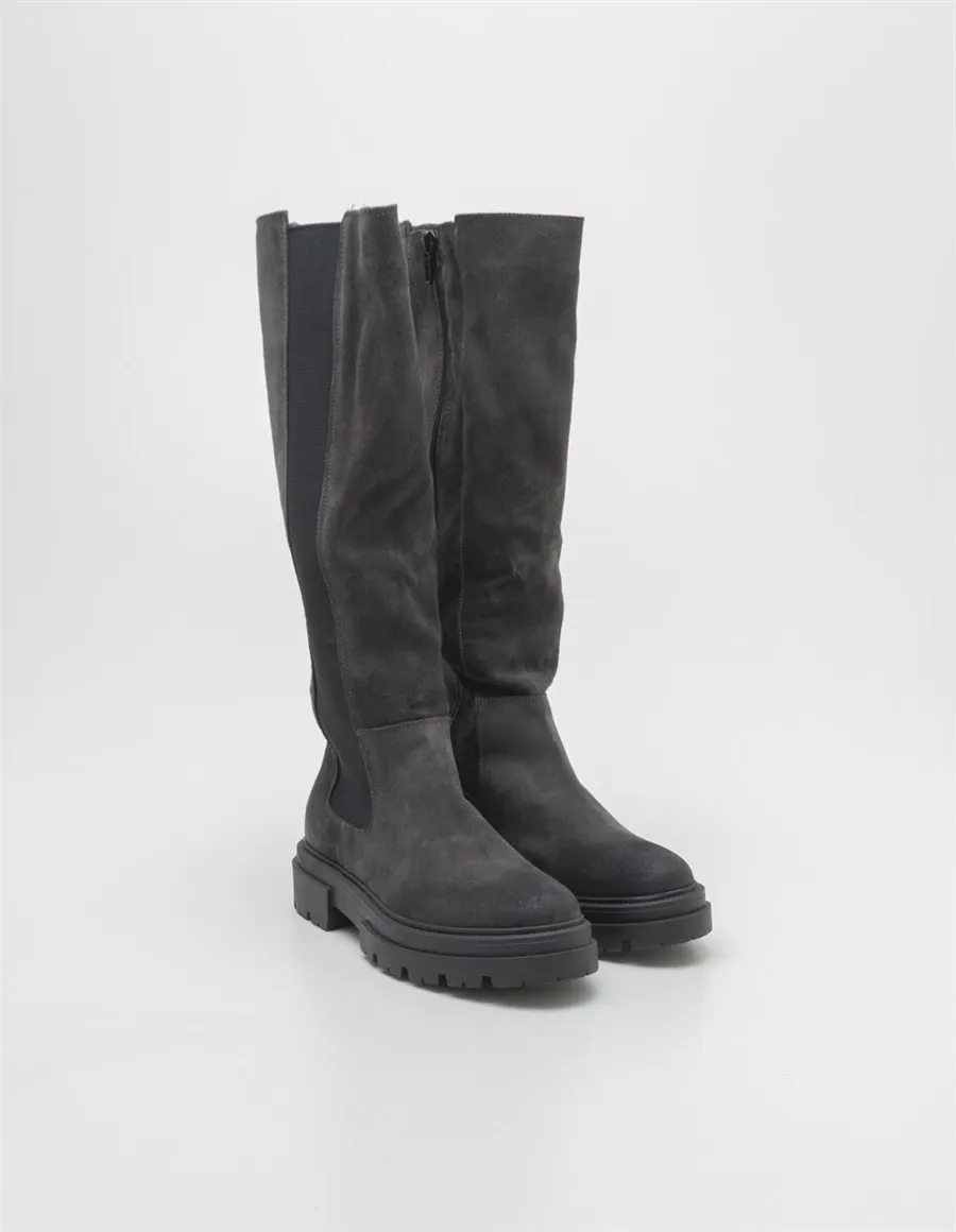 STIVALE 13404