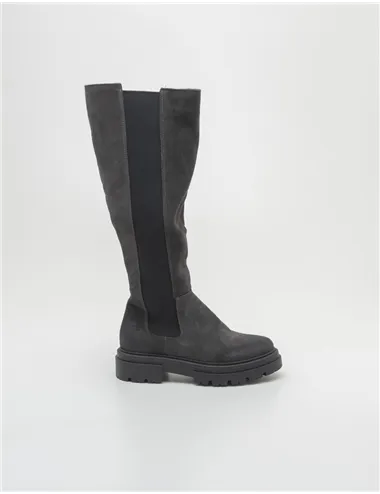 STIVALE 13404