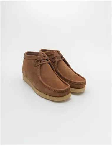 POLACCHINO KOALA MID