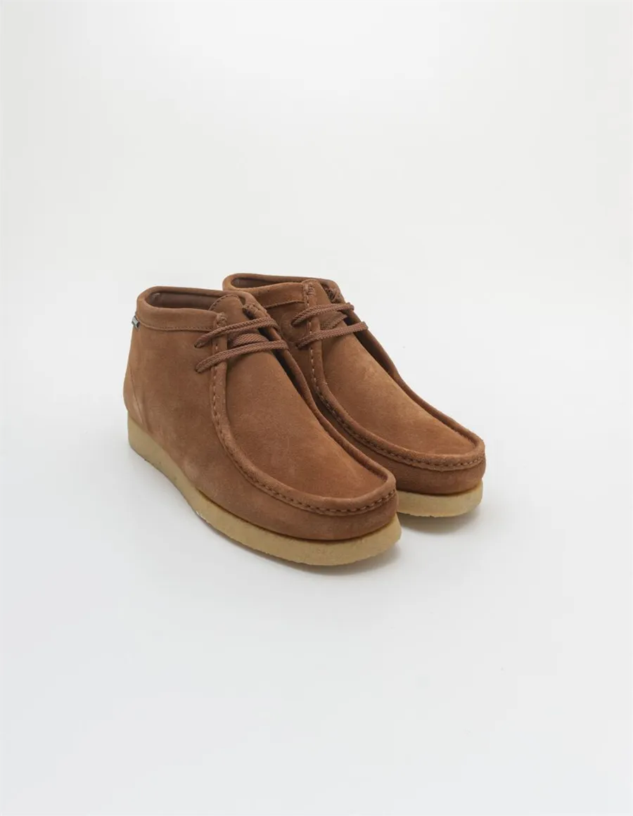 POLACCHINO KOALA MID