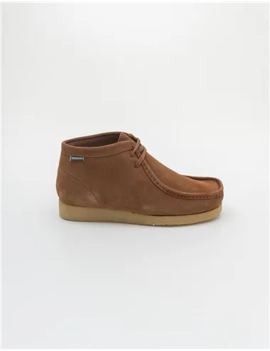 POLACCHINO KOALA MID