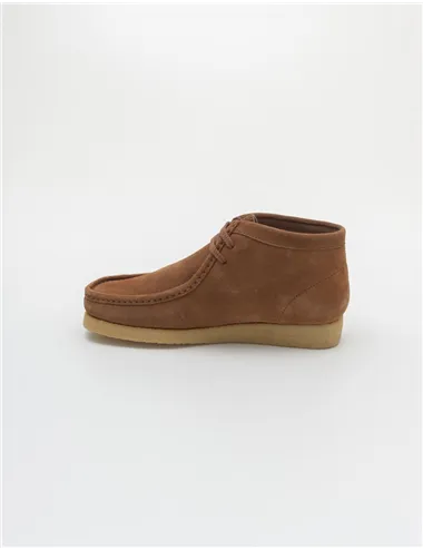 POLACCHINO KOALA MID