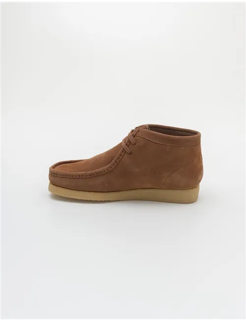POLACCHINO KOALA MID