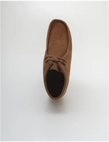POLACCHINO KOALA MID