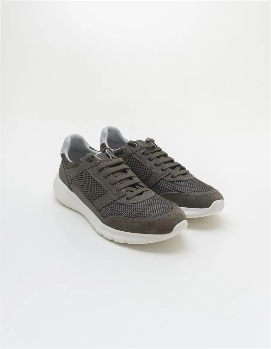 SNEAKER U MONREALE