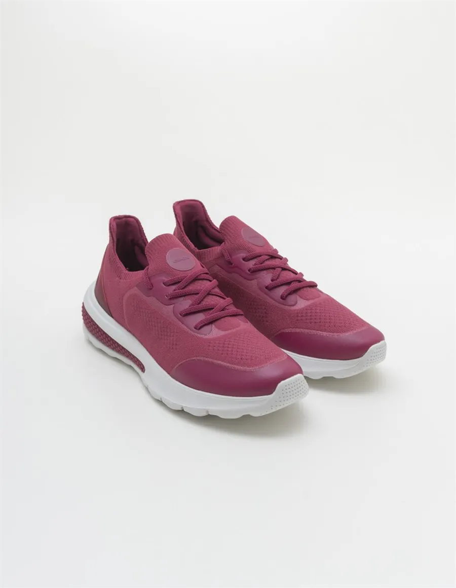 SNEAKER SPHERICA