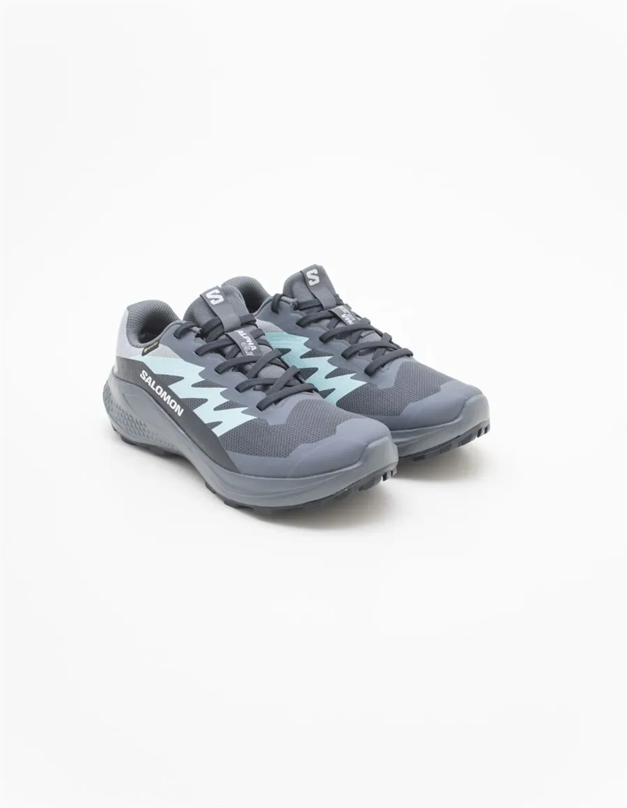 SNEAKER ALPHAGLIDE GTX 