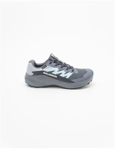 SNEAKER ALPHAGLIDE GTX 