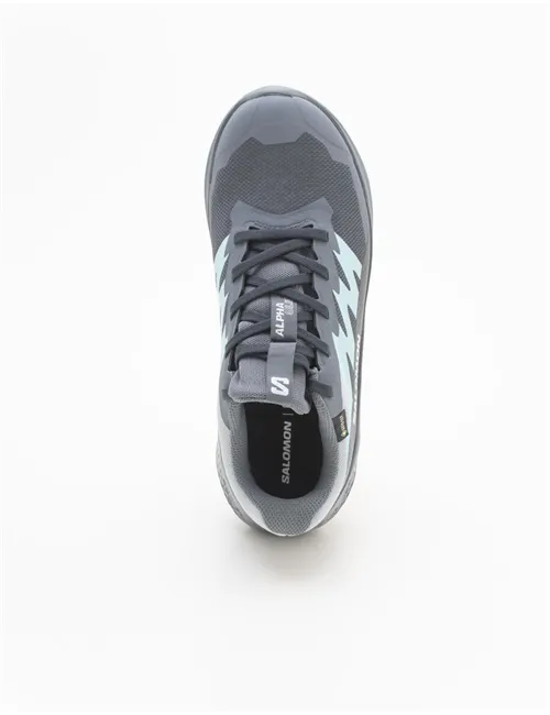SNEAKER ALPHAGLIDE GTX 
