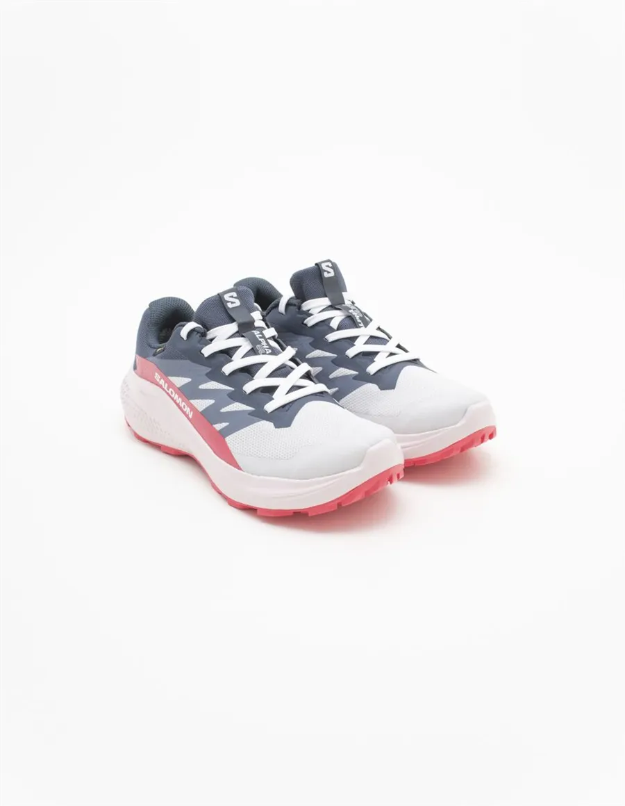 SNEAKER ALPHAGLIDE GTX 