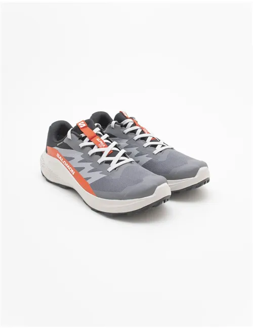 SNEAKERALPHAGLIDE GTX