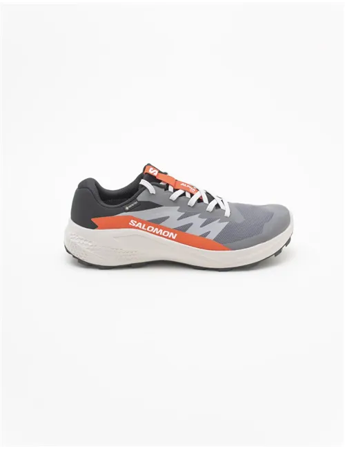 SNEAKERALPHAGLIDE GTX
