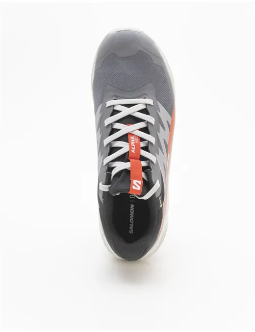 SNEAKERALPHAGLIDE GTX
