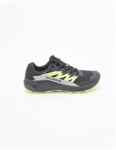 SNEAKER ALPHAGLIDE GTX
