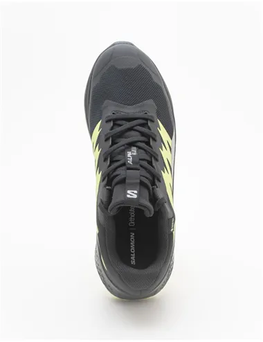 SNEAKER ALPHAGLIDE GTX