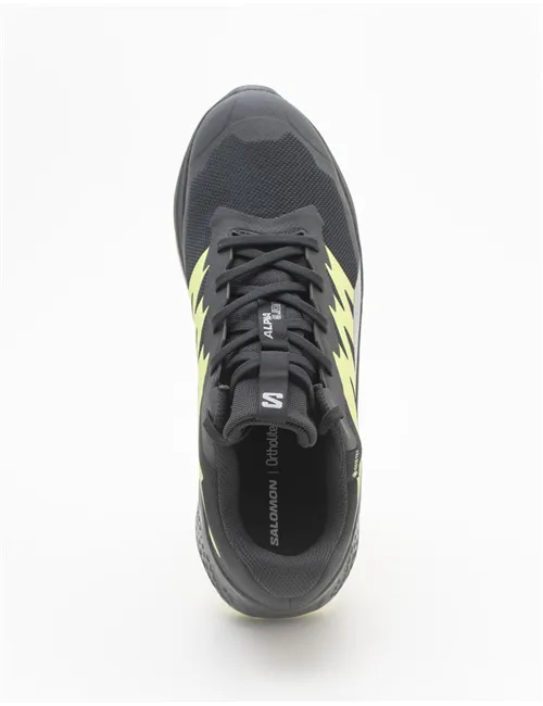 SNEAKER ALPHAGLIDE GTX