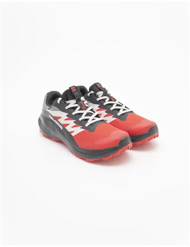 SNEAKER ALPHAGLIDE GTX