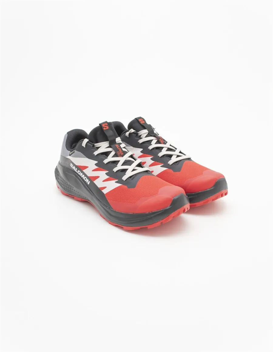 SNEAKER ALPHAGLIDE GTX