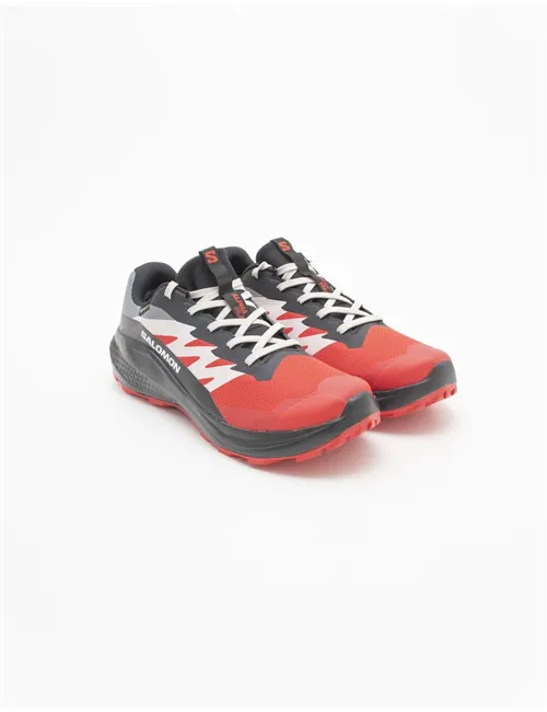 SNEAKER ALPHAGLIDE GTX