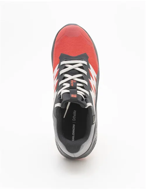 SNEAKER ALPHAGLIDE GTX