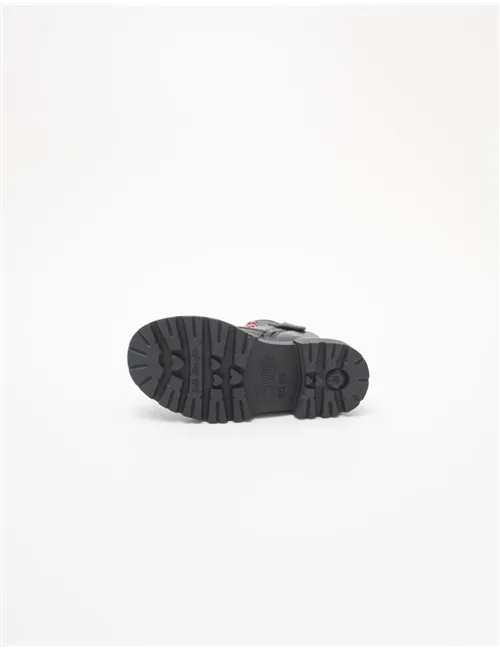 ANFIBIO 8977044