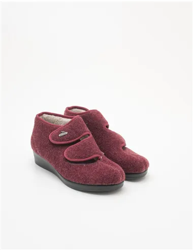 PANTOFOLA PIETRAPERTOSA