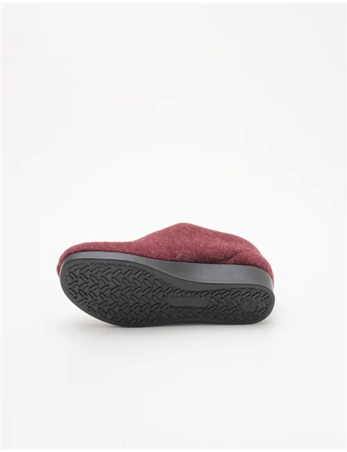 PANTOFOLA PIETRAPERTOSA