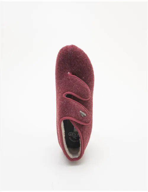 PANTOFOLA PIETRAPERTOSA