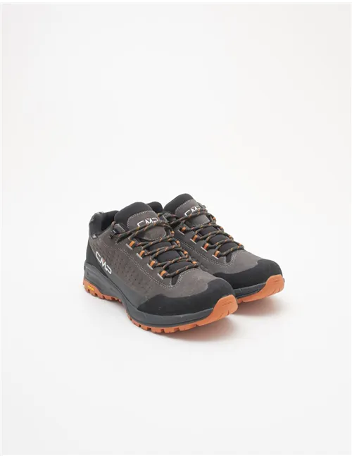 Scarpe da trekking uomo Vertyx Low WP fango