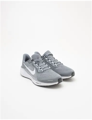 Scarpe da running uomo Air Zoom Pegasus 41 grigio