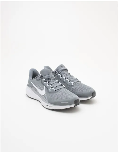 Scarpe da running uomo Air Zoom Pegasus 41 grigio