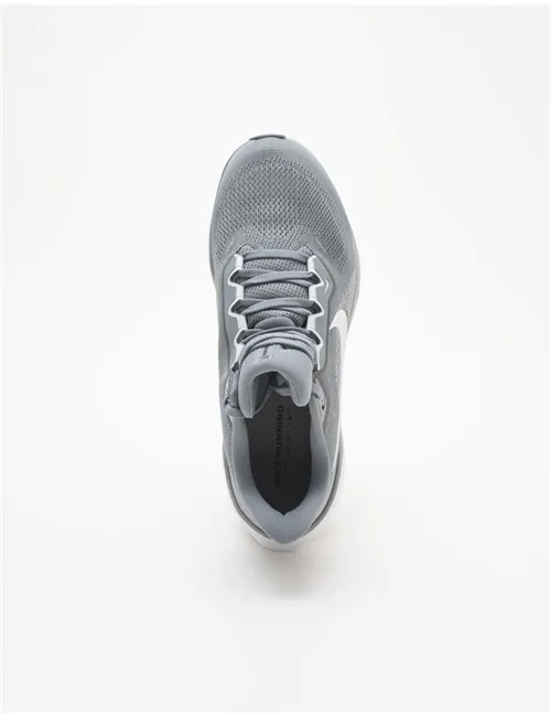 Scarpe da running uomo Air Zoom Pegasus 41 grigio