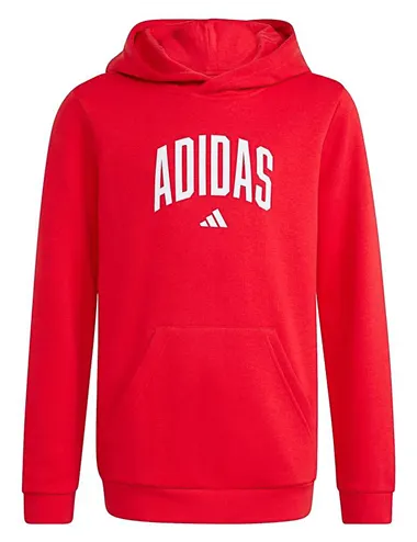 Felpa con cappuccio ragazzo Codes College Graphic rosso