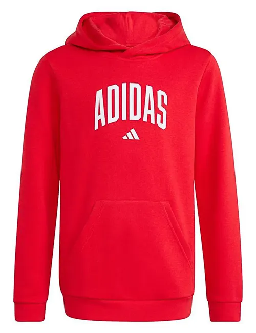 Felpa con cappuccio ragazzo Codes College Graphic rosso