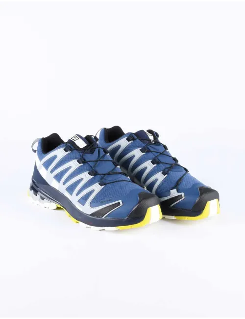 SALOMON XA PRO 3D V8 GTX