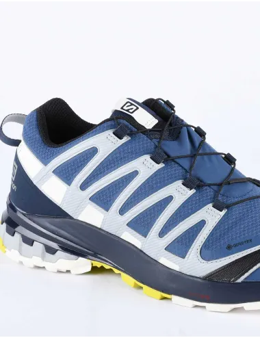 SALOMON XA PRO 3D V8 GTX
