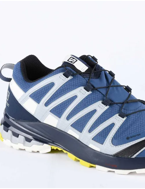 SALOMON XA PRO 3D V8 GTX