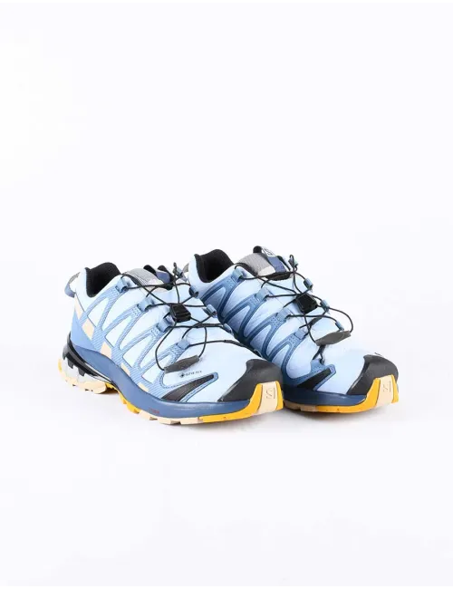 SALOMON XA PRO 3D V8 GTX W