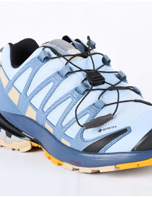 SALOMON XA PRO 3D V8 GTX W