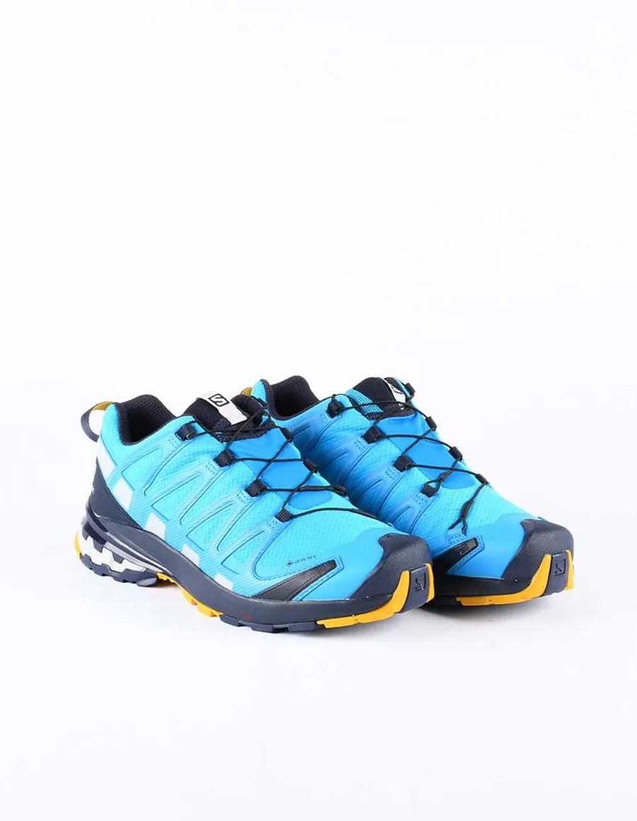 SALOMON XA PRO 3D V8 GTX