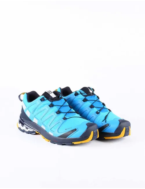 SALOMON XA PRO 3D V8 GTX