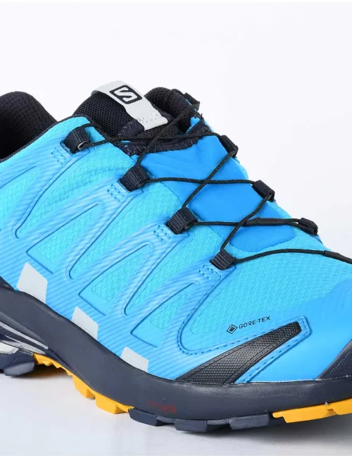 SALOMON XA PRO 3D V8 GTX