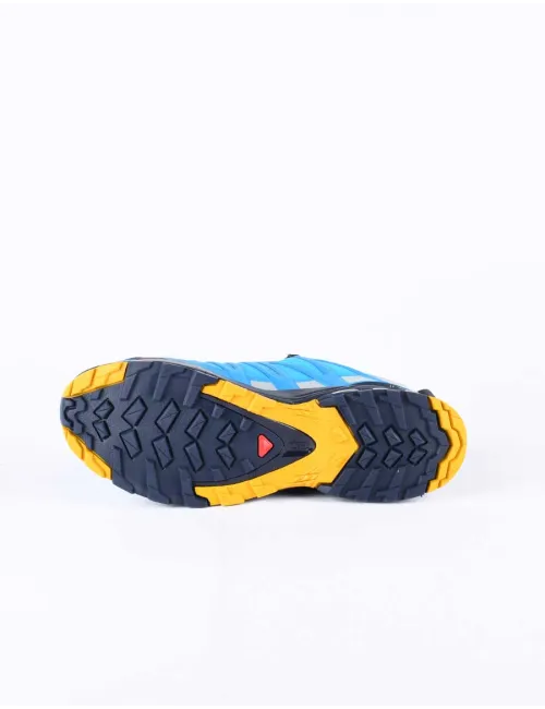 SALOMON XA PRO 3D V8 GTX