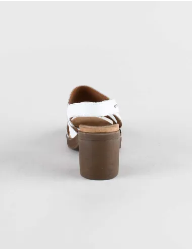 IGI&CO 7170244