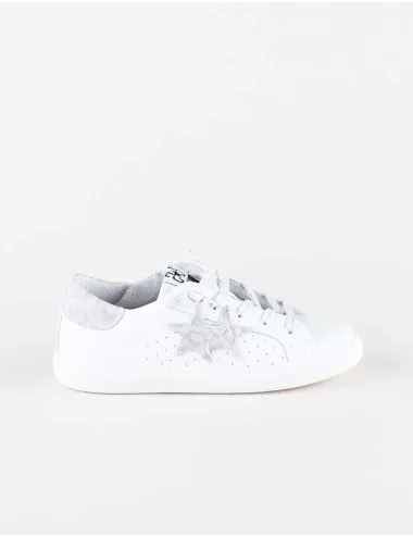 2STAR 2SB2042