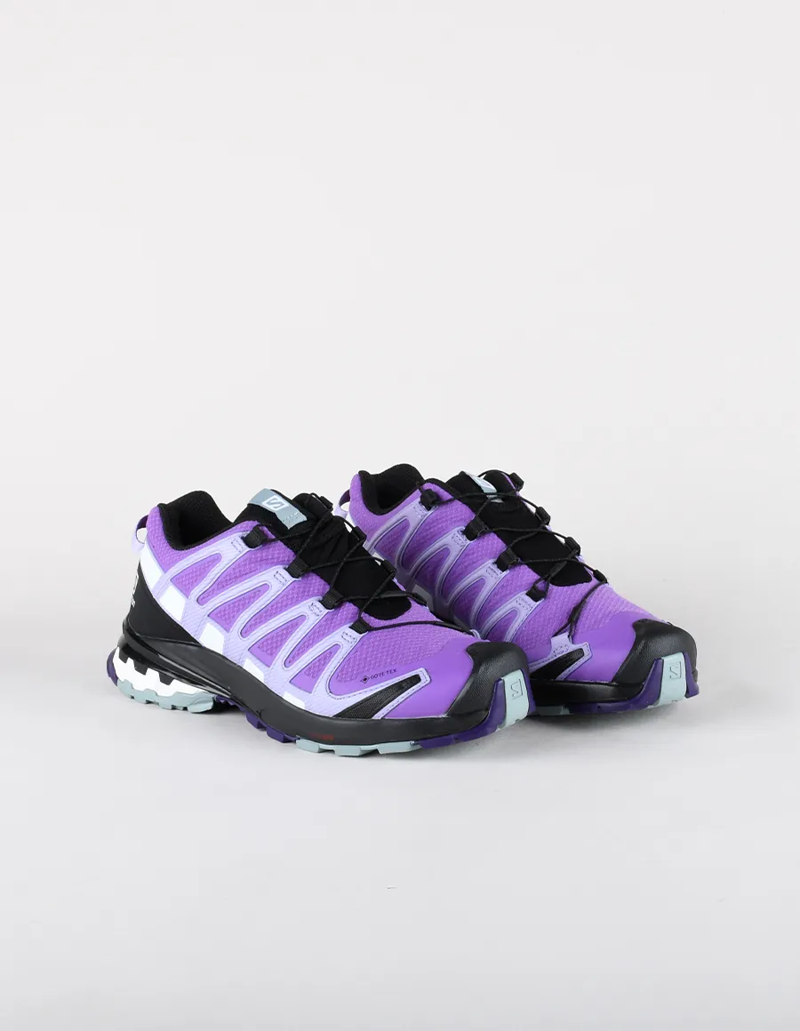SALOMON XA PRO 3D V8 GTX W