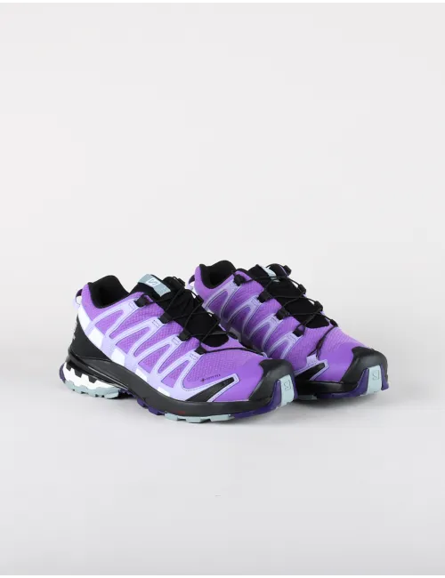 SALOMON XA PRO 3D V8 GTX W
